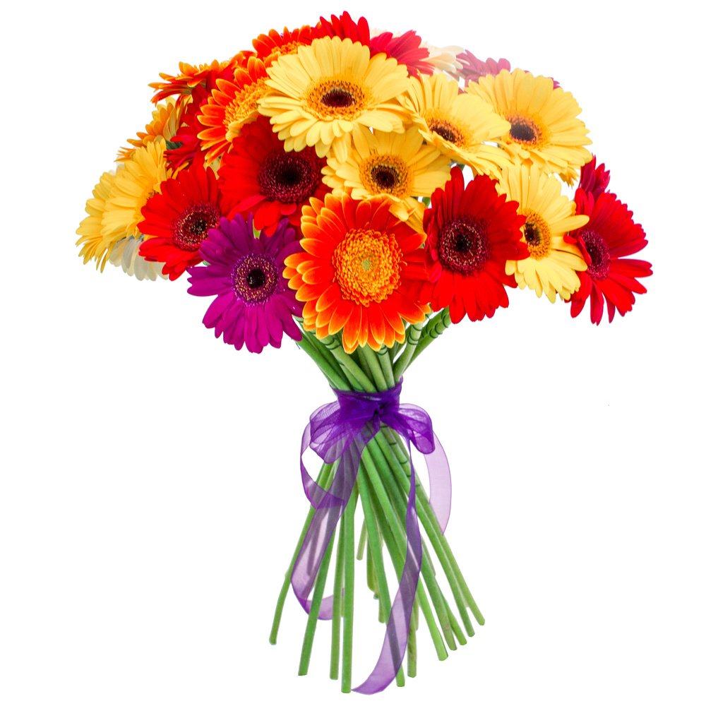 Sunny Colourful Gerbera Bouquet