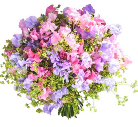 Sweet Pea with Alchemilla Bouquet