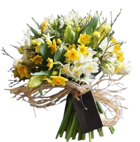 Tulips and Narcisus Bouquet