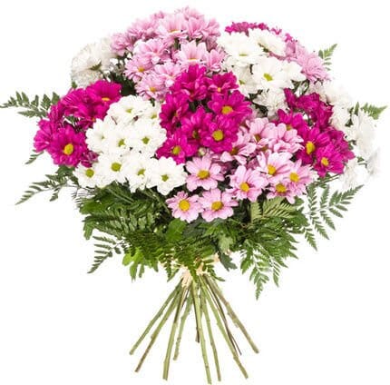 Variety of Pink Chrysanthemum Bouquet