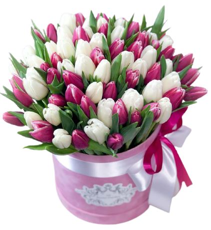 White and Cerise Tulips Box