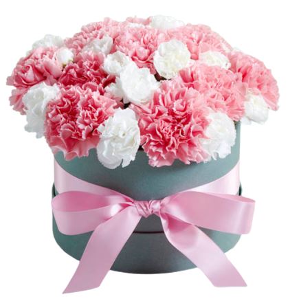 White and Pink Carnations Box