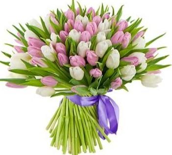 White and Pink Tulips Bouquet