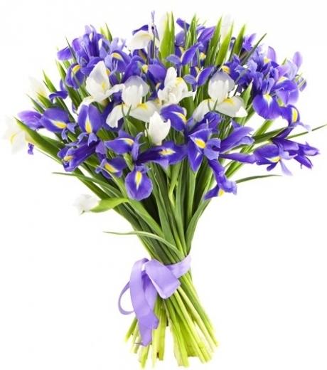 White and Purple Irys Bouquet