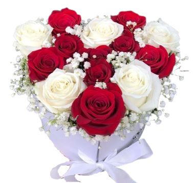 White and Red Roses with Gypsophila Box
