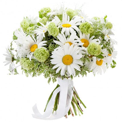 White Daisy and Green Viburnum Bouquet