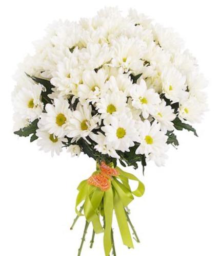 White Daisy Chrystanthemum Bouquet