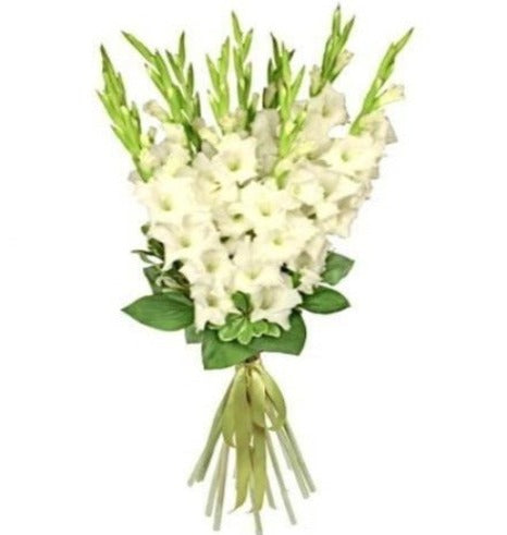 White Gladiolus Bouquet