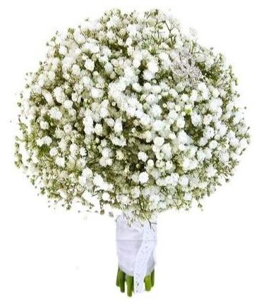 White Gypsophila Wedding Bouquet