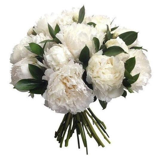 White Peonies with Ruscus Bouquet