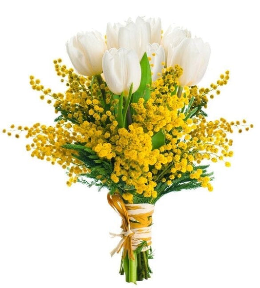 White Tulips with Mimosa Bouquet