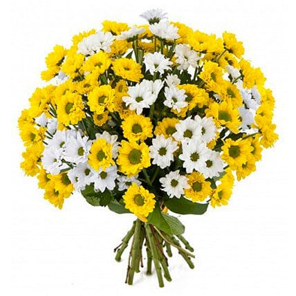 Yellow and White Santini Chrysanthemum Bouquet